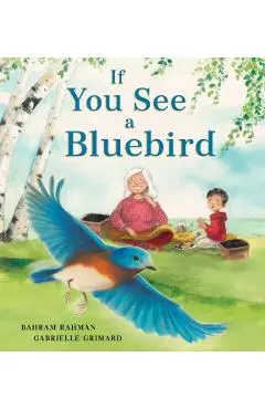 If You See a Bluebird - Bahram Rahman