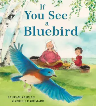 If You See a Bluebird, Hardback/Bahram Rahman
