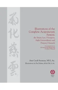 Illustrations of the Complete Acupuncture System: The Sinew, Luo, Divergent, Eight Extraordinary, Primary Channels and all their Branches - Ann Cecil-sterman