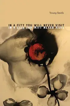 In a City You Will Never Visit, Paperback/Young Smith