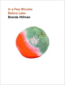 In a Few Minutes Before Later, Paperback/Brenda Hillman