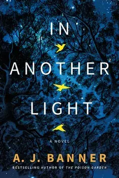 In Another Light, Paperback/A. J. Banner