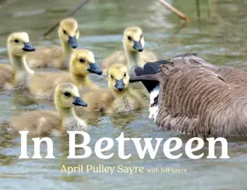 In Between, Hardback/***