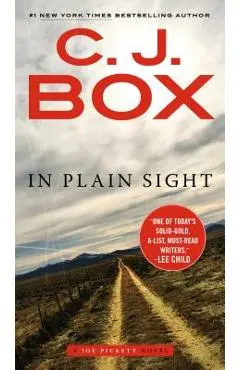 In Plain Sight - C. J. Box