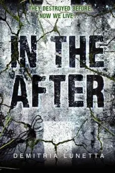 In the After, Paperback/Demitria Lunetta