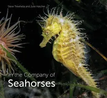 In the Company of Seahorses, Hardcover/Steve Trewhella