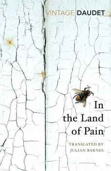 In the Land of Pain, Paperback/Alphonse Daudet