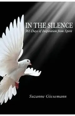 In the Silence: 365 Days of Inspiration from Spirit - Suzanne Giesemann