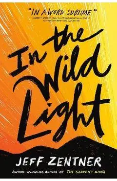 In the Wild Light - Jeff Zentner