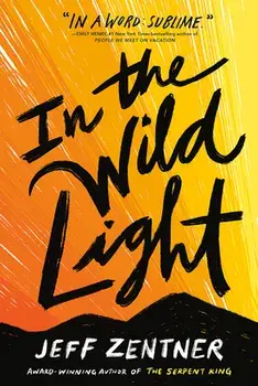 In the Wild Light, Paperback/Jeff Zentner