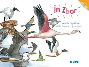 In zbor. Pasarile migratoare/Capucine Mazille, Michel Francesconi