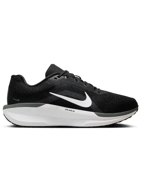 Incaltaminte Air Winflo 11