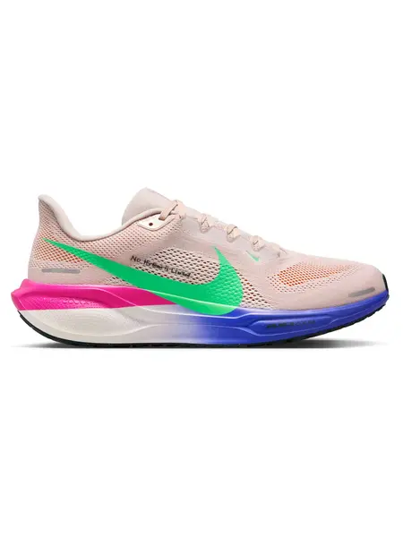 Incaltaminte Air Zoom Pegasus 41 Ek