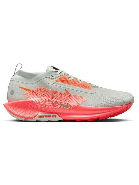 Incaltaminte Pegasus Trail 5 Gtx