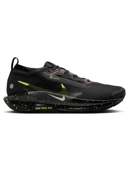 Incaltaminte Pegasus Trail 5 Gtx