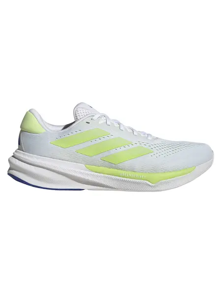 Incaltaminte Supernova Stride 2