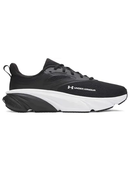Incaltaminte Ua Rogue 6