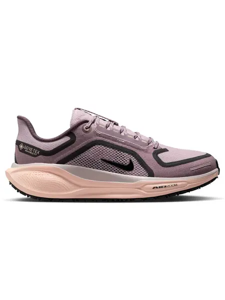 Incaltaminte W Air Zm Pegasus 41 Gtx