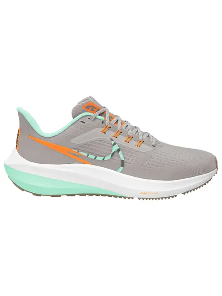 Incaltaminte W Air Zoom Pegasus 39 Prm