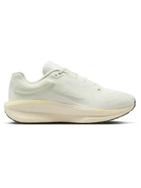 Incaltaminte Wmns Air Winflo 11