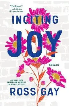 Inciting Joy: Essays - Ross Gay
