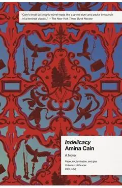 Indelicacy - Amina Cain