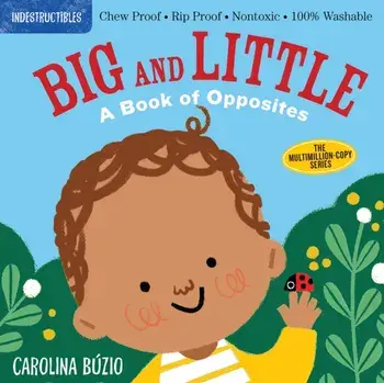 Indestructibles: Big and Little. A Book of Opposites, Paperback/Amy Pixton
