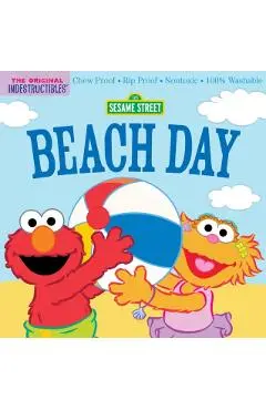 Indestructibles: Sesame Street: Beach Day: Chew Proof - Rip Proof - Nontoxic - 100% Washable (Book for Babies, Newborn Books, Safe to Chew) - Amy Pixton