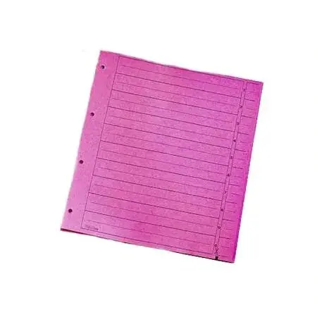Index carton 10 diviziuni roz Index carton 10 diviziuni roz