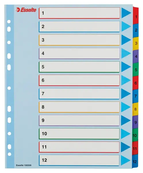 Index carton Esselte 1-12 reinscriptibil Index carton Esselte 1-12 reinscriptibil