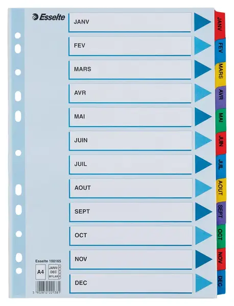 Index carton Esselte Mylar cu taste laminate A4 Index carton Esselte Mylar cu taste laminate A4 index Ianuarie-Decembrie