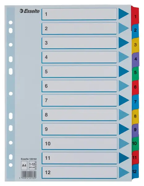 Index carton Esselte Mylar cu taste laminate A4 Index carton Esselte Mylar cu taste laminate A4 index 1-12
