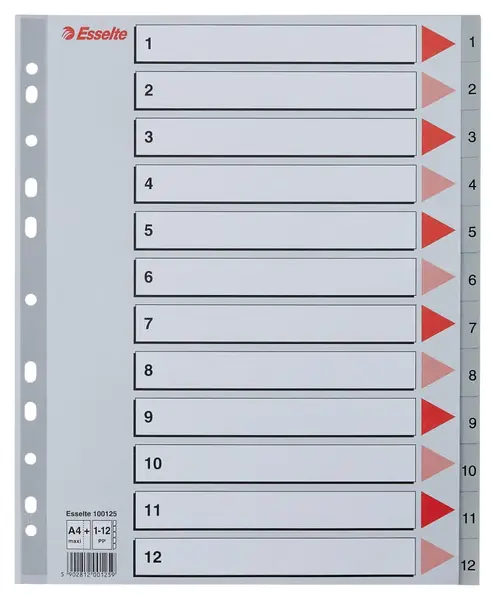 Index Esselte, plastic, reciclabil, A4 MAXI, 1-12, gri Index Esselte, plastic, reciclabil, A4 MAXI, 1-12, gri