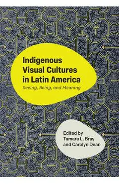 Indigenous Visual Cultures in Latin America: Seeing, Being, and Meaning - Tamara L. Bray