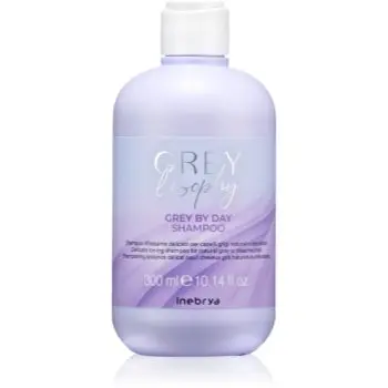 Inebrya Greylosophy Grey By Day Shampoo șampon nuanțator pentru par grizonat
