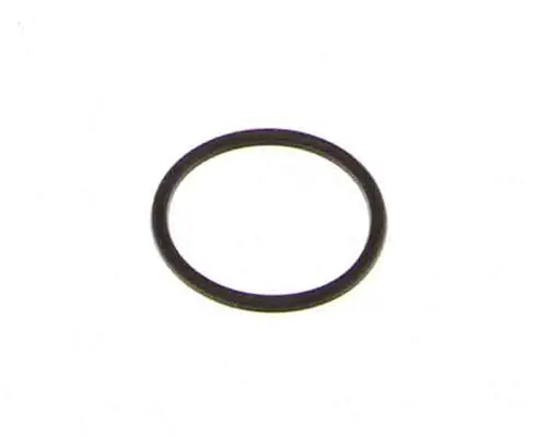 Inel cauciuc BOSCH F 00V C38 045