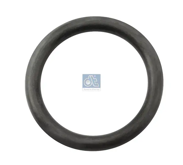 inel de etansare,saboti frana DT Spare Parts 4.20300