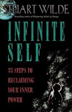 Infinite Self: 33 Steps to Reclaiming Your Inner Power - Stuart Wilde