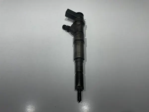 Injector 7789661 BMW X5 (1999-2006) [E53] 2.0 3.0d
