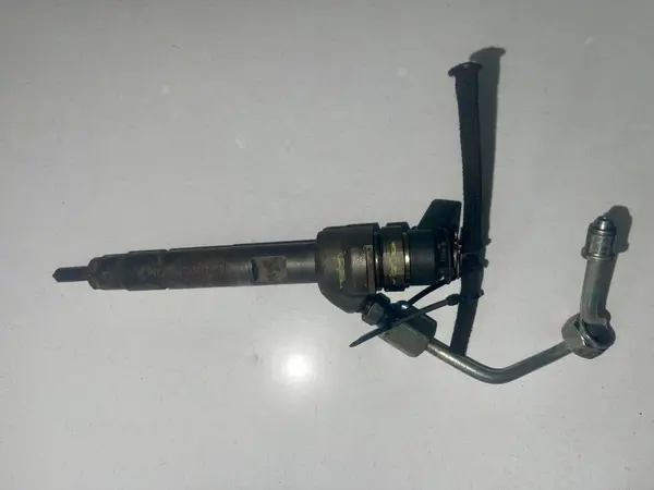 Injector 7798446 BMW Seria 1 (2010-2015) [F20] 2.0d n47d20c
