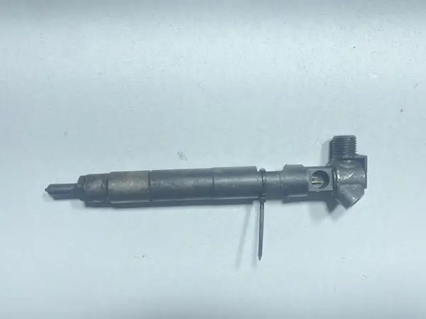 Injector A6510700587 Mercedes E-Class (2010->) [A207] 2.2 cdi euro 5