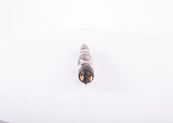 Injector BOSCH 0 445 120 219