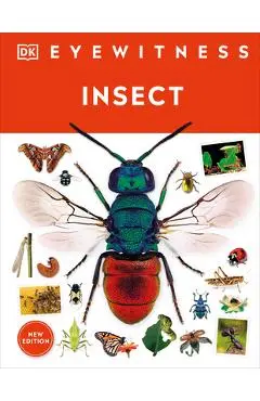Insect - Dk