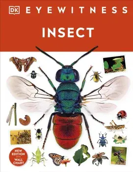 Insect, Hardback/DK