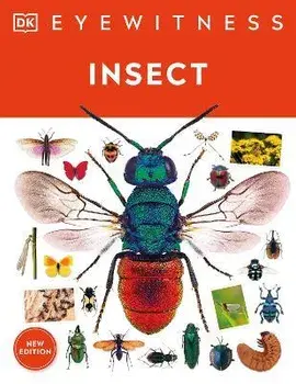 Insect, Hardcover/Dk