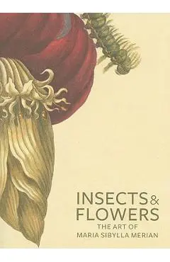 Insects and Flowers: The Art of Maria Sibylla Merian - David Brafman