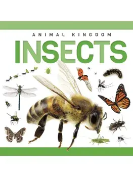 Insects, Hardback/Rebecca Phillips-Bartlett