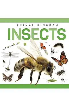 Insects - Rebecca Phillips-bartlett