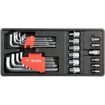 Insertie Dulap Scule, 31 Piese, Hex + Torx