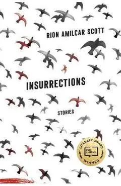 Insurrections: Stories - Rion Amilcar Scott